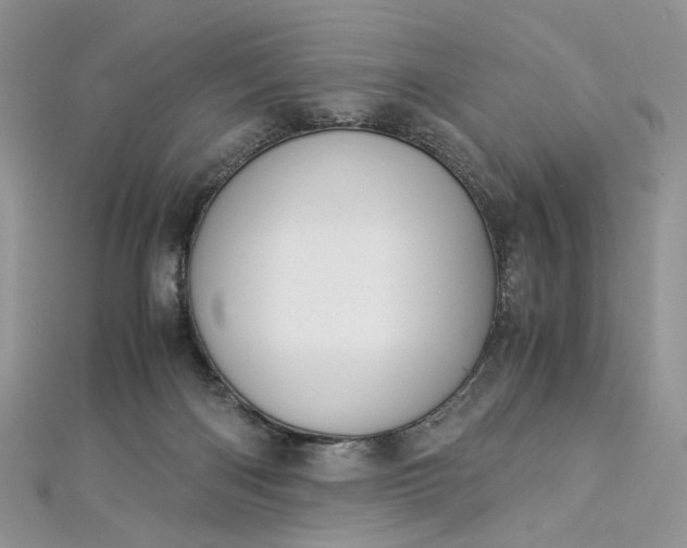 X0000112900122200909041730