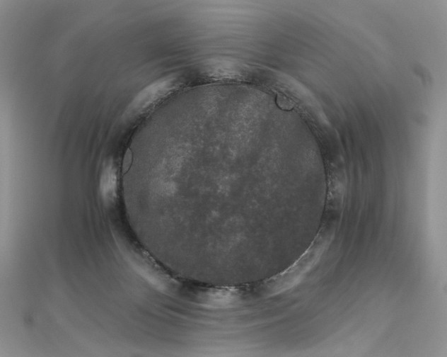 X0000112900124200909041730