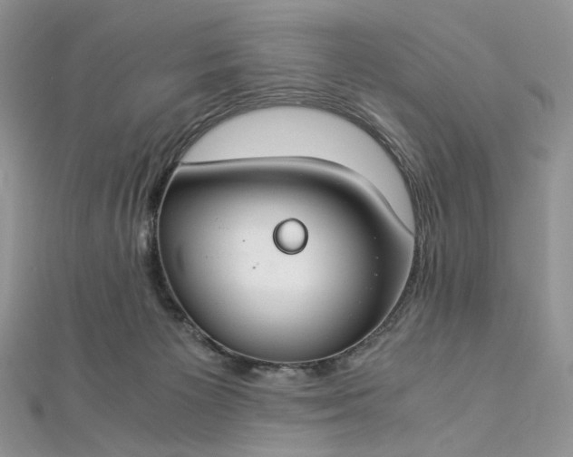 X0000112900125200909041730