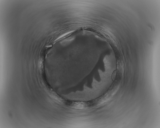 X0000112900127200909041730