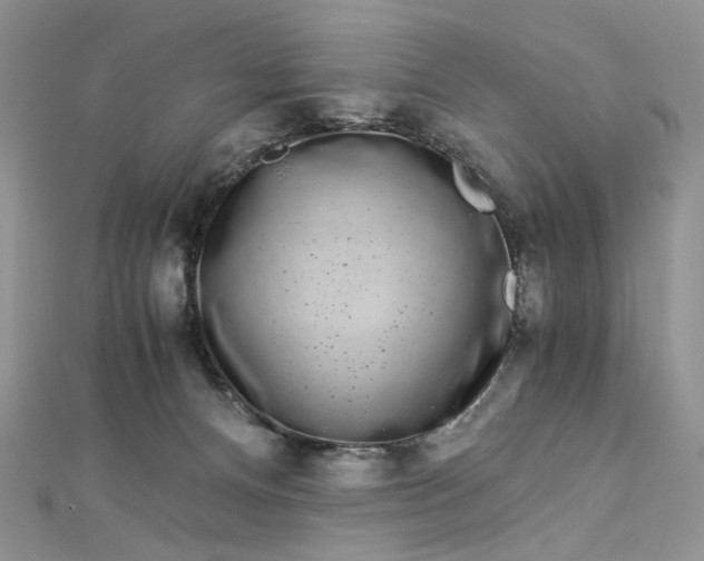 X0000112900128200909041730