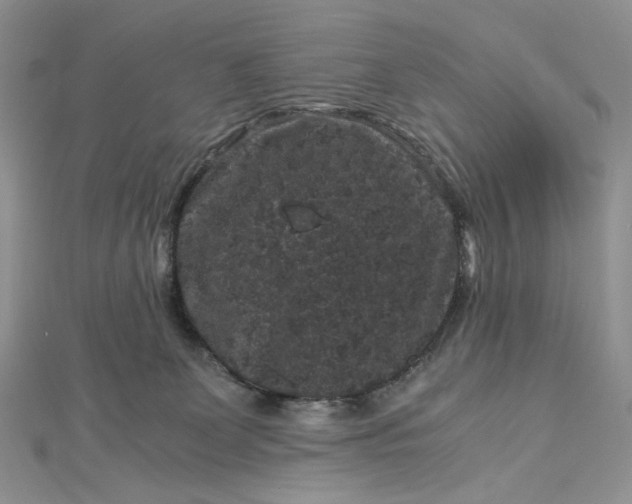 X0000112900131200909041730