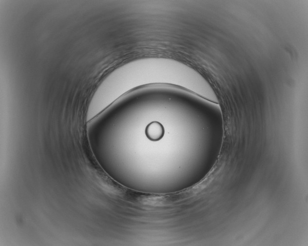 X0000112900132200909041730