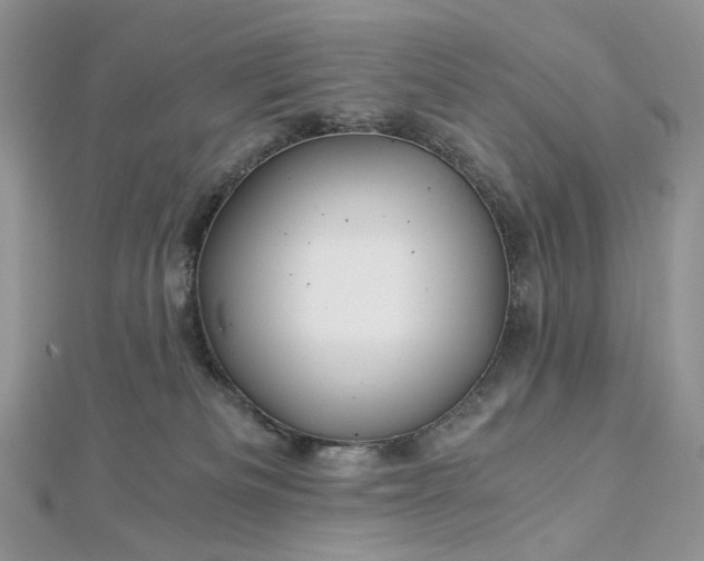 X0000112900133200909041730