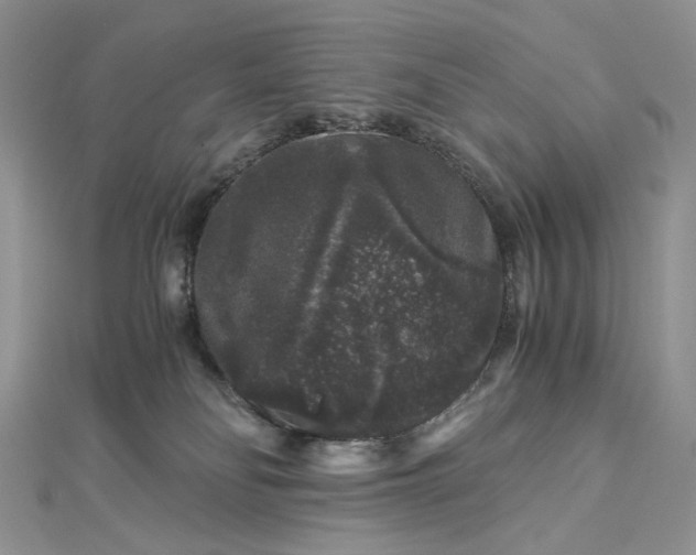 X0000112900134200909041730