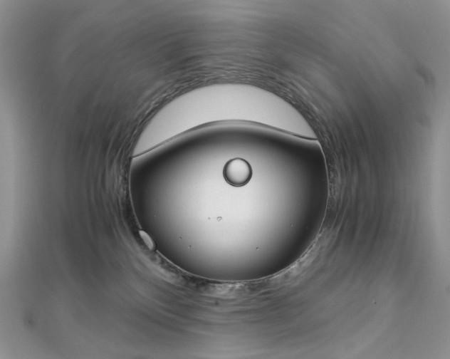 X0000112900136200909041730