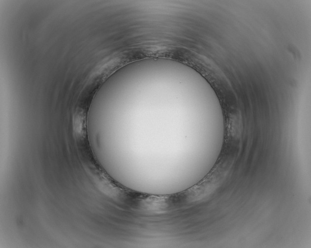 X0000112900138200909041730