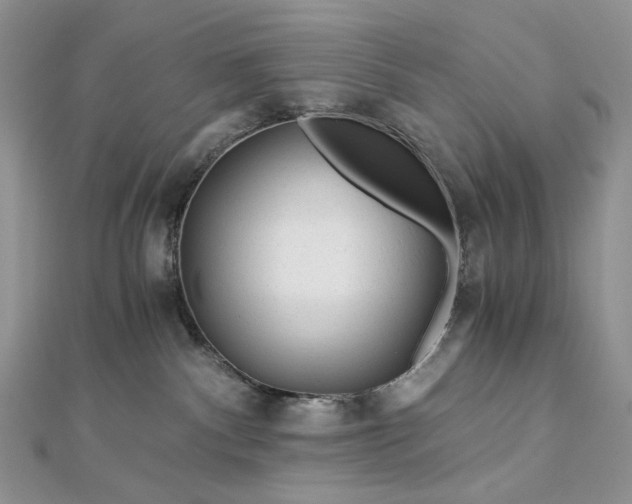 X0000112900140200909041730