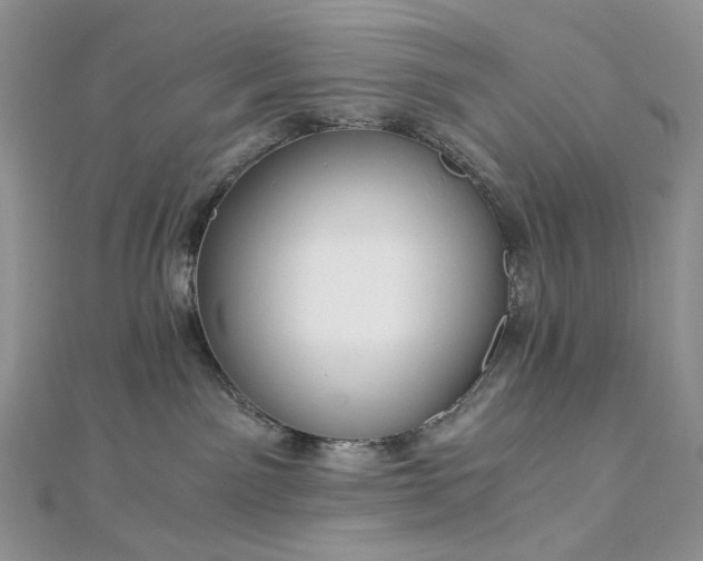 X0000112900141200909041730