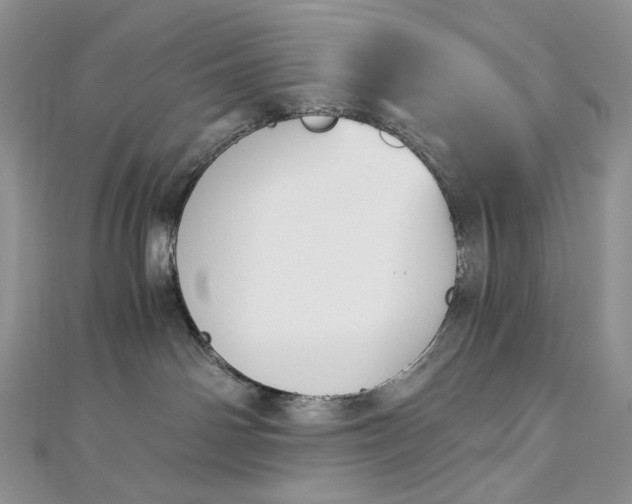 X0000112900142200909041730