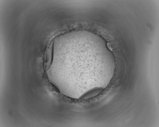 X0000112900144200909041730