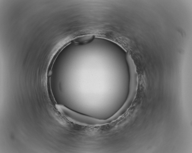 X0000112900148200909041729