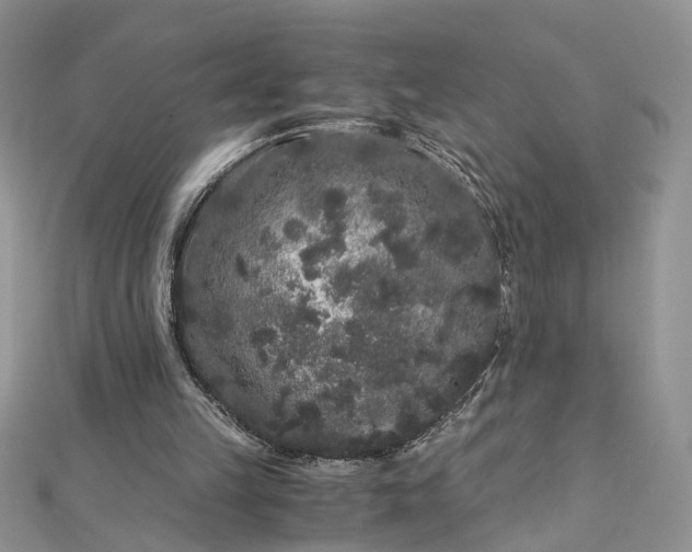 X0000112900149200909041729