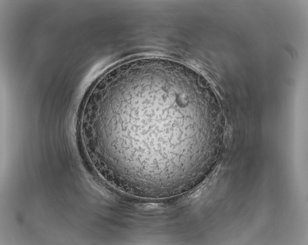 X0000112900151200909041729