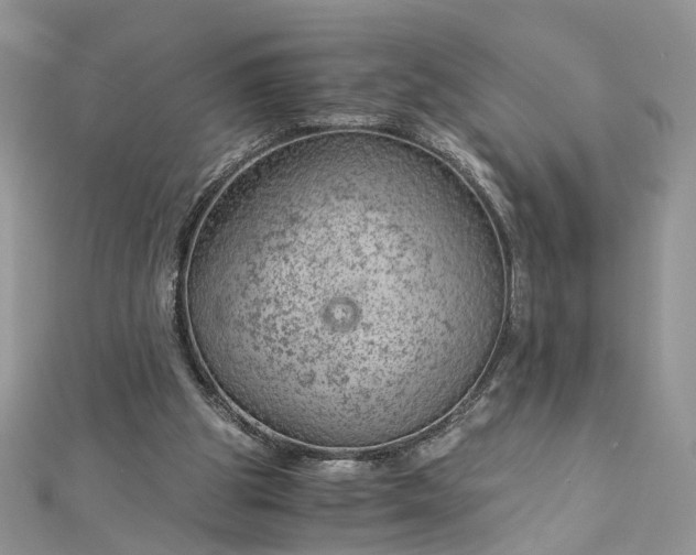 X0000112900153200909041729