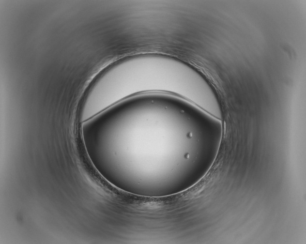 X0000112900156200909041730