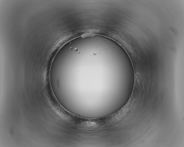 X0000112900159200909041730