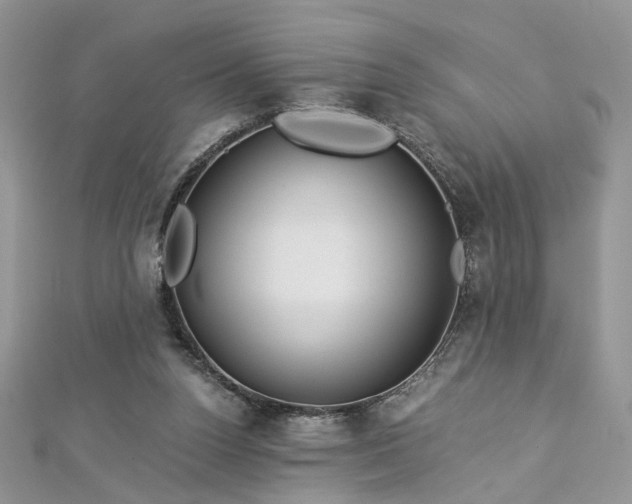 X0000112900160200909041730