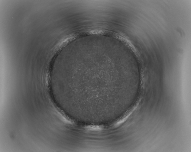 X0000112900161200909041730