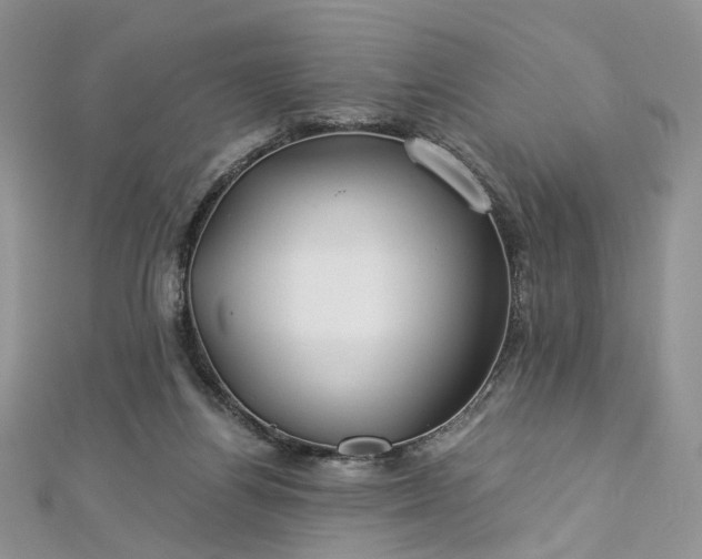 X0000112900164200909041730