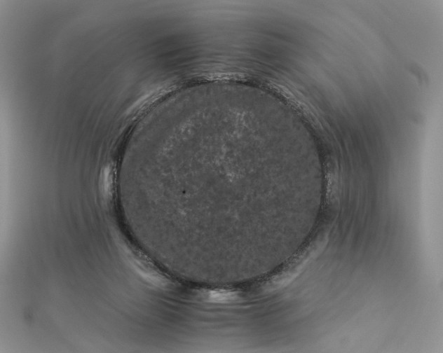 X0000112900165200909041730