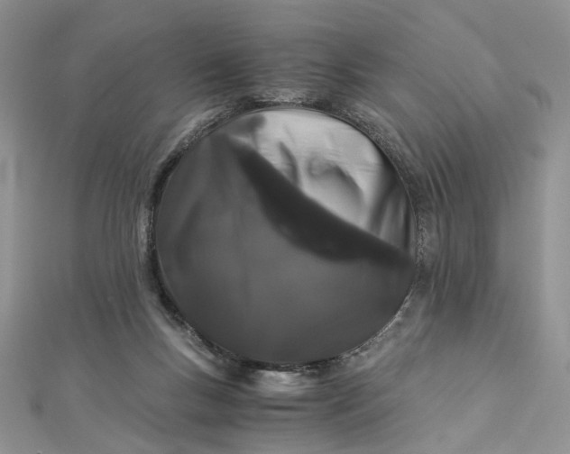 X0000112900167200909041730