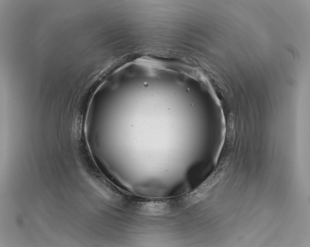 X0000112900168200909041730