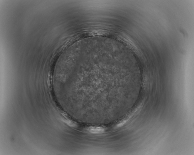 X0000112900169200909041730