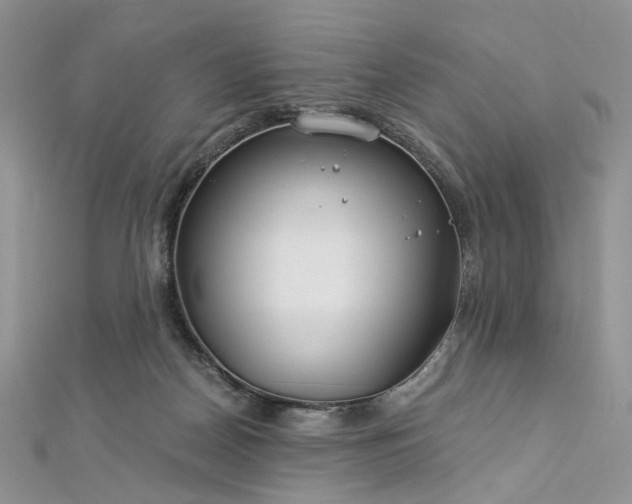 X0000112900170200909041730