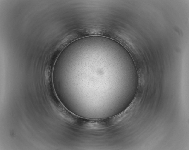 X0000112900171200909041730