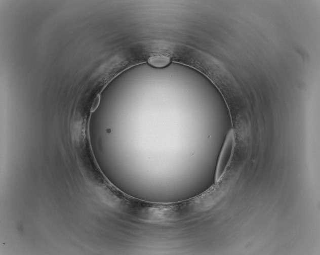 X0000112900172200909041730