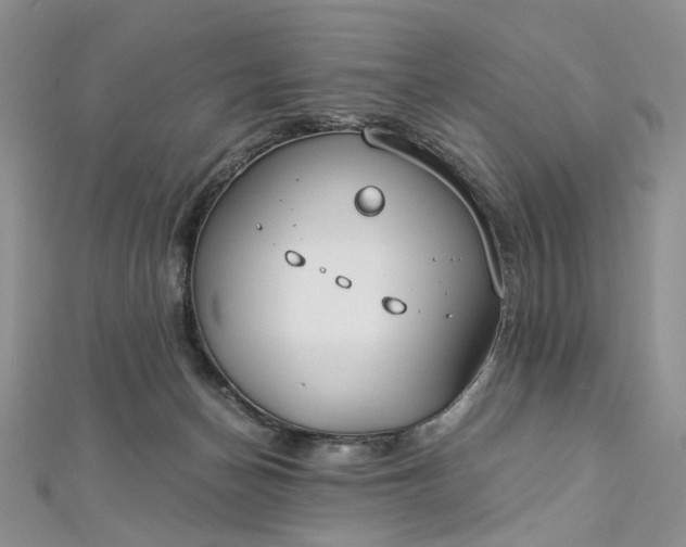 X0000112900174200909041730