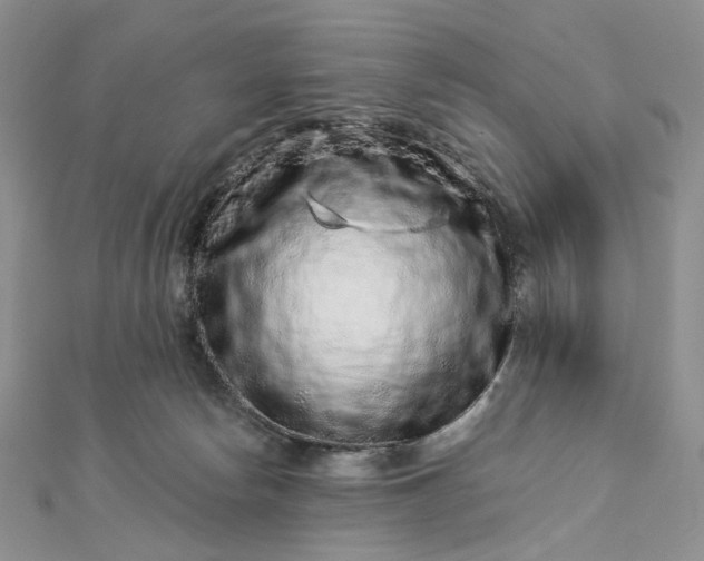 X0000112900178200909041730