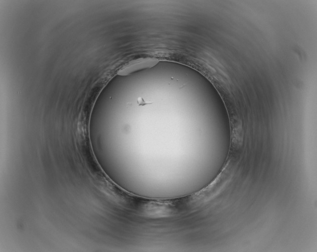 X0000112900179200909041730