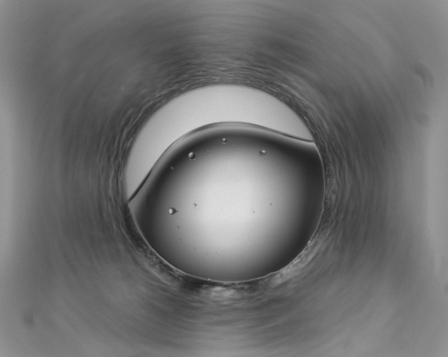 X0000112900180200909041730