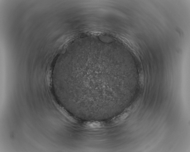 X0000112900181200909041730