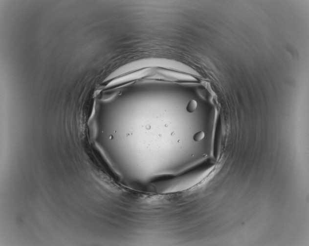 X0000112900186200909041730