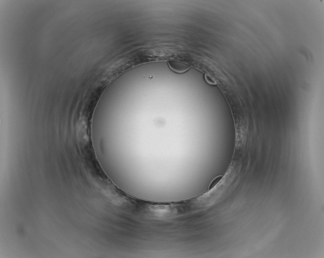 X0000112900187200909041730