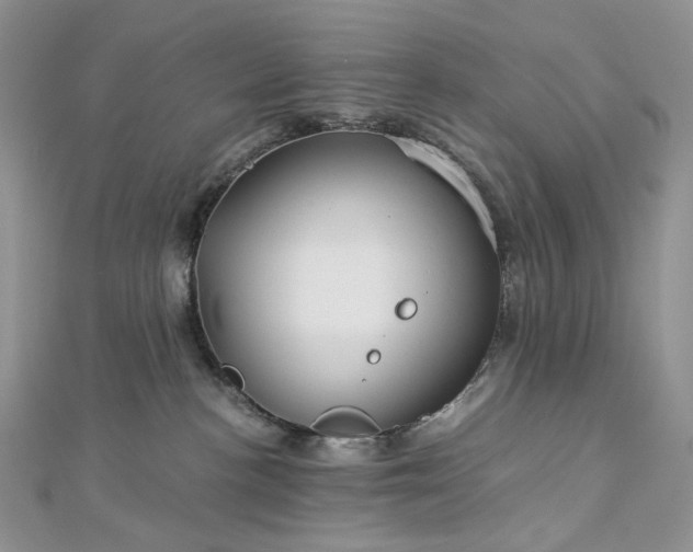 X0000112900188200909041730