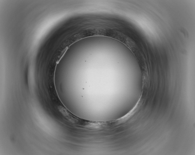 X0000112900190200909041730