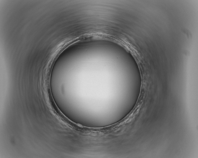 X0000112900193200909041729