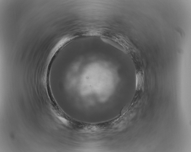 X0000112900195200909041729