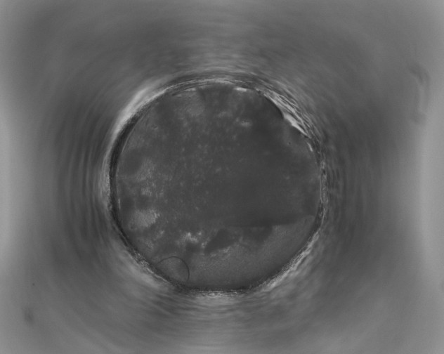 X0000112900198200909041729