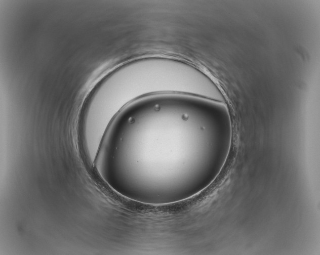 X0000112900199200909041729