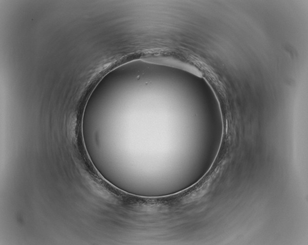 X0000112900201200909041729