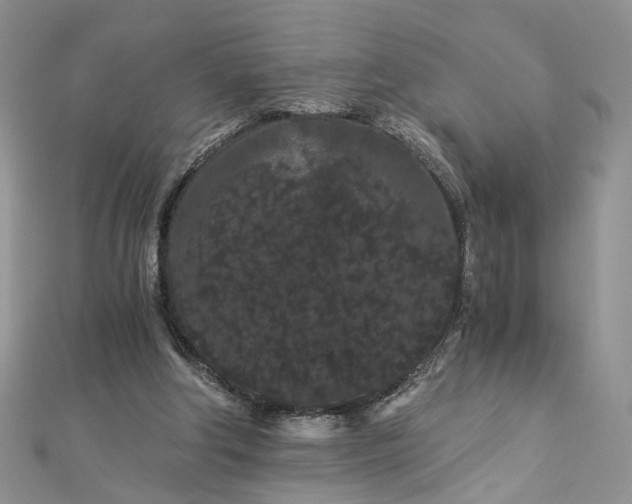 X0000112900202200909041729