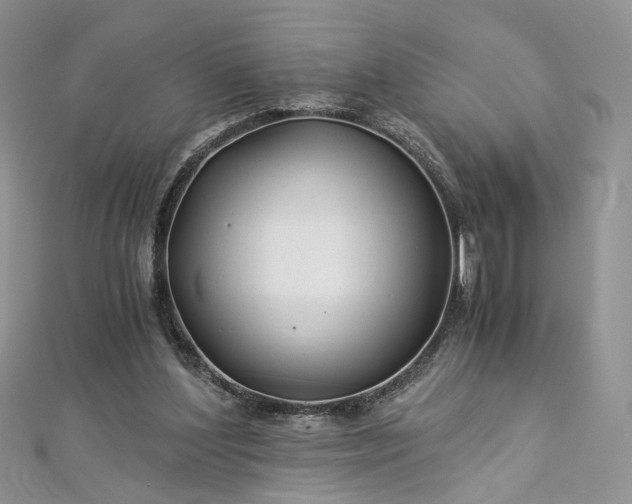 X0000112900204200909041729