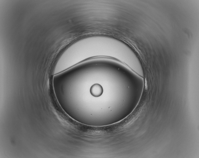 X0000112900205200909041729