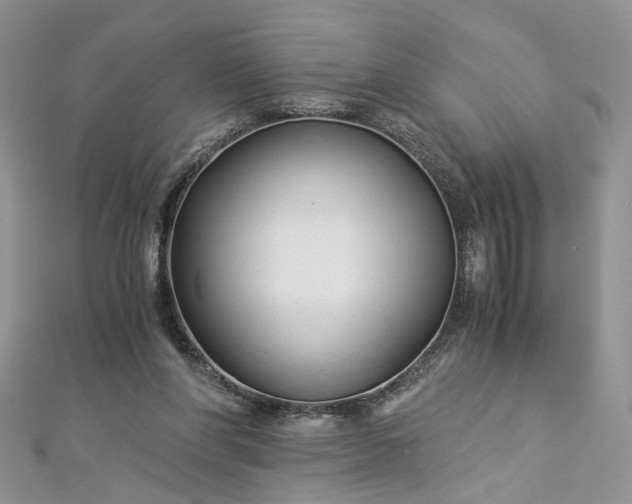 X0000112900206200909041729