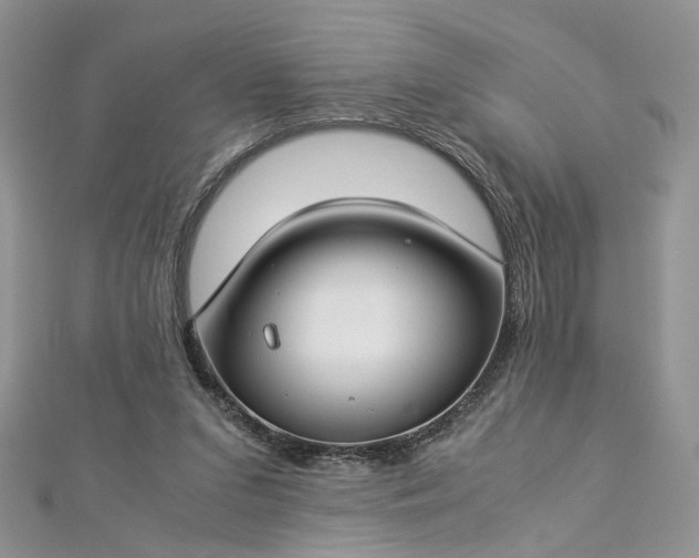 X0000112900207200909041729